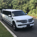 White Ford Expedition