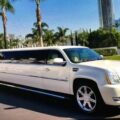 The Unseen World A Peek Into The Life Of Our Limousine Mechanics