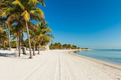 Limousine Service In Key Biscayne Florida
