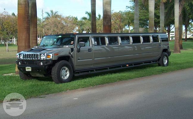 Florida Limo 1